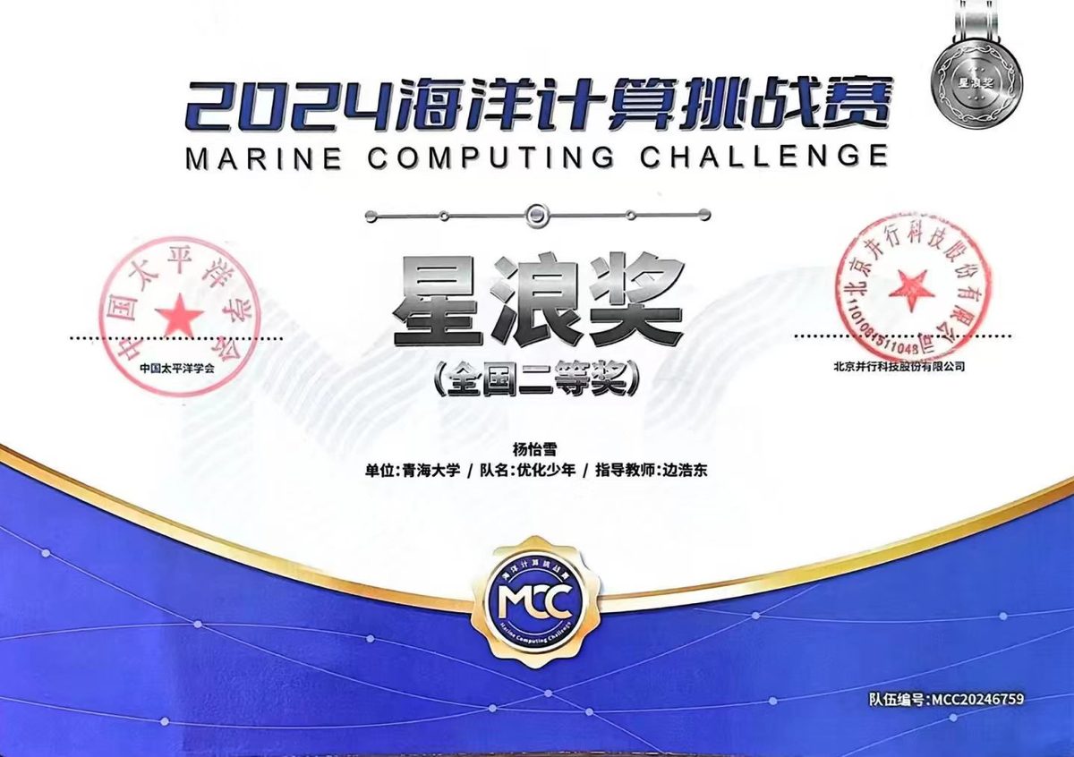 2024 MCC 全国二等奖