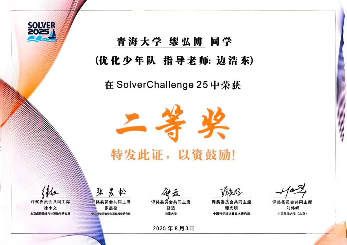 2025 SolverChallenge 全国二等奖