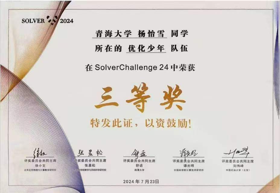 Solver2024